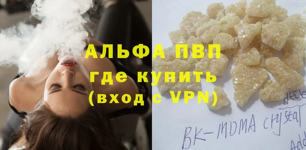 сатива Верея