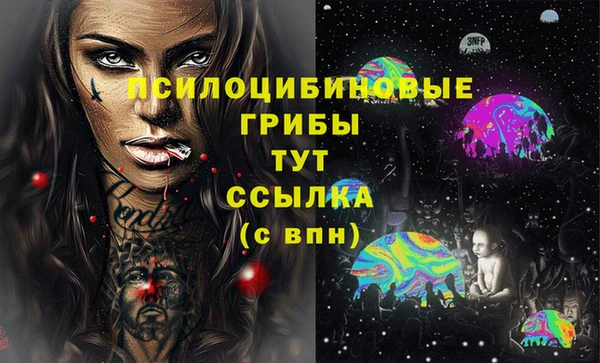 гашик Верхнеуральск