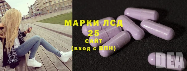 сатива Верея