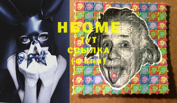 сатива Верея