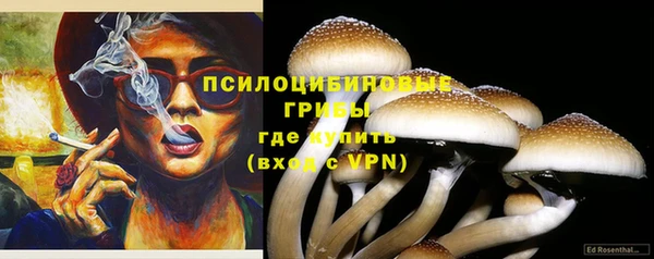 сатива Верея
